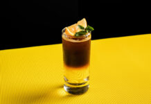 Espresso tonic – połączenie kawy i toniku, które zaskakuje smakiem Espresso tonic - połączenie kawy i toniku, które zaskakuje smakiem