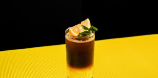 Espresso tonic – połączenie kawy i toniku, które zaskakuje smakiem Espresso tonic - połączenie kawy i toniku, które zaskakuje smakiem